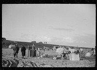 [Untitled photo, possibly related to: New Madrid spillway between levee and Mississippi River where evicted sharecroppers were taken after removal from highway by highway officials, New Madrid County, Missouri]. Sourced from the Library of Congress.