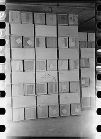 [Untitled photo, possibly related to: Packing eggs in cold storage warehouse, Jersey City, New Jersey]. Sourced from the Library of Congress.
