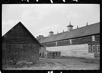 Packing and sorting house at White's Bog, Burlington County, New Jersey. Sourced from the Library of Congress.