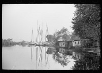 [Untitled photo, possibly related to: Oyster fishing boats, Bivalve, New Jersey]. Sourced from the Library of Congress.