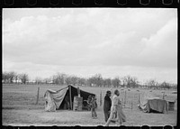 Evicted sharecroppers along Highway 60, New Madrid County, Missouri. Sourced from the Library of Congress.