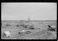 [Untitled photo, possibly related to: New Madrid spillway, where evicted sharecroppers were moved from highway, New Madrid County, Missouri]. Sourced from the Library of Congress.