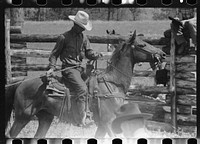 [Untitled photo, possibly related to: Roping a calf, Three Circle roundup, Custer National Park, Montana]. Sourced from the Library of Congress.