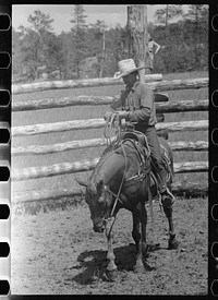[Untitled photo, possibly related to: Roping a calf, Three Circle roundup, Custer National Park, Montana]. Sourced from the Library of Congress.