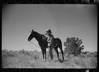 [Untitled photo, possibly related to: Jack Arnold looking over the Quarter Circle U Ranch which he owns, Rosebud County, Montana]. Sourced from the Library of Congress.