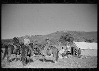 [Untitled photo, possibly related to: Setting up the roundup camp, Quarter Circle U Ranch roundup, Montana]. Sourced from the Library of Congress.