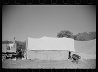 [Untitled photo, possibly related to: Setting up camp, Quarter Circle U roundup, Montana]. Sourced from the Library of Congress.