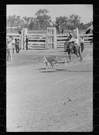 [Untitled photo, possibly related to: Roping a calf, rodeo, Miles City, Montana]. Sourced from the Library of Congress.