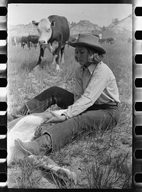 Dude girl "rassling" a calf, Quarter Circle U Ranch roundup, Montana. Sourced from the Library of Congress.