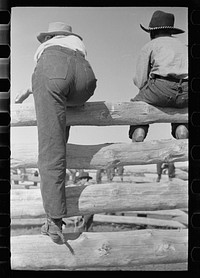 [Untitled photo, possibly related to: Dude girls on a corral fence, Montana]. Sourced from the Library of Congress.