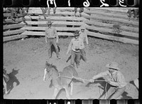 [Untitled photo, possibly related to: Roping colt for branding, Quarter Circle U roundup, Montana]. Sourced from the Library of Congress.