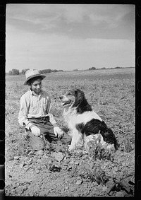 Young sugar beet worker with dog, Treasure County Montana. Sourced from the Library of Congress.