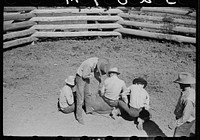 [Untitled photo, possibly related to: Branding a colt, Quarter Circle U roundup, Montana]. Sourced from the Library of Congress.