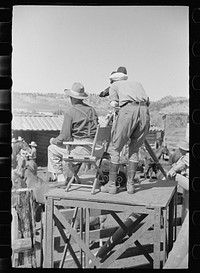 [Untitled photo, possibly related to: Roping a colt for branding, Quarter Circle U roundup, Montana]. Sourced from the Library of Congress.