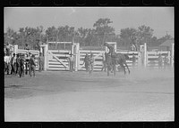 [Untitled photo, possibly related to: Bulldogging, rodeo, Miles City, Montana]. Sourced from the Library of Congress.