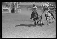 Bulldogging, rodeo, Miles City, Montana. Sourced from the Library of Congress.