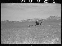 [Untitled photo, possibly related to: Branding, Quarter Circle U roundup, Montana]. Sourced from the Library of Congress.