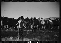 [Untitled photo, possibly related to: Rope corral, Quarter Circle U roundup, Big Horn County, Montana]. Sourced from the Library of Congress.
