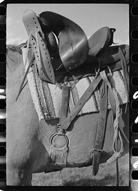 Detail of cinch of saddle, Quarter Circle U Ranch, Big Horn County, Montana. Sourced from the Library of Congress.