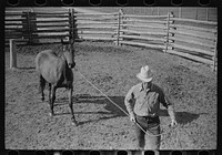 Leading a roped horse, Quarter Circle U Ranch, Big Horn County, Montana. Sourced from the Library of Congress.