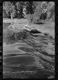 Brush dam at Quarter Circle U Ranch, on Tongue River, Montana. Sourced from the Library of Congress.