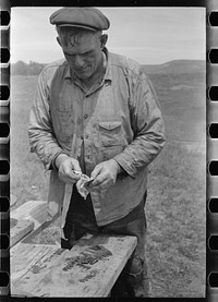 [Untitled photo, possibly related to: Sheepshearer cleans blade of his shears, Rosebud County, Montana]. Sourced from the Library of Congress.