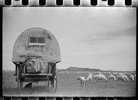 Sheepherder's wagon, Rosebud County, Montana. Sourced from the Library of Congress.
