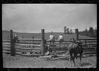 [Untitled photo, possibly related to: Branding, Three Circle roundup, Custer National Forest, Montana]. Sourced from the Library of Congress.