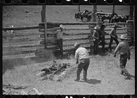 Removing branding irons from fire, Three Circle roundup, Custer National Forest, Montana. Sourced from the Library of Congress.