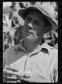 Farmer with hybrid corn, Hardin County, Iowa. Sourced from the Library of Congress.