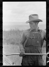 [Untitled photo, possibly related to: Philipe Aranjo harvests grain, Costilla County, Colorado]. Sourced from the Library of Congress.