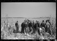 [Untitled photo, possibly related to: Contest for mechanical corn pickers, Hardin County, Iowa]. Sourced from the Library of Congress.