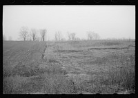 [Untitled photo, possibly related to: Rural road, Parke County, Indiana]. Sourced from the Library of Congress.