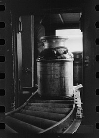 [Untitled photo, possibly related to: Running milk cans through sterilizing machine, Farmington, Minnesota]. Sourced from the Library of Congress.