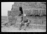 [Untitled photo, possibly related to: Hired hand, Brandtjen Dairy Farm, Dakota County, Minnesota]. Sourced from the Library of Congress.