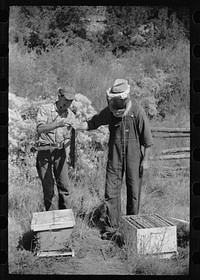 [Untitled photo, possibly related to: Philipe Aranjo, rehabilitation client, harvesting wheat in Costilla County, Colorado]. Sourced from the Library of Congress.