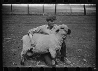 [Untitled photo, possibly related to: Elmo Temple, Chaffee County, Colorado rehabilitation client, with four purebred bucks]. Sourced from the Library of Congress.