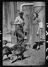 [Untitled photo, possibly related to: Elmo Temple, Chaffee County, Colorado rehabilitation client and his wife, Louise, pose beside a feed grinder which is an important part of their farm equipment]. Sourced from the Library of Congress.