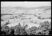 Good farming land, Garrett County, Maryland.. Sourced from the Library of Congress.