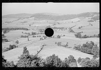 [Untitled photo, possibly related to: Good farming land, Garrett County, Maryland.]. Sourced from the Library of Congress.