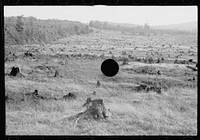 [Untitled photo, possibly related to: Characteristic topography, Garrett County, Maryland]. Sourced from the Library of Congress.