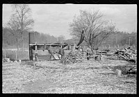 [Untitled photo, possibly related to: Sorghum cane mill situated on a well-travelled highway near Nashville, Indiana]. Sourced from the Library of Congress.