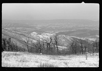 [Untitled photo, possibly related to: Shenandoah National Park, Virginia, Skyline Drive]. Sourced from the Library of Congress.