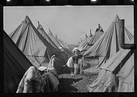 [Untitled photo, possibly related to: A street of tents in the camp for flood refugees of Forrest City, Arkansas]. Sourced from the Library of Congress.