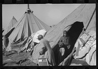 [Untitled photo, possibly related to: A street of tents in the camp for flood refugees at Forrest City, Arkansas]. Sourced from the Library of Congress.