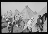 [Untitled photo, possibly related to: A street of tents in the camp for flood refugees at Forrest City, Arkansas]. Sourced from the Library of Congress.
