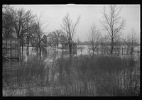 [Untitled photo, possibly related to: Flooded farmland near Ridgeley, Tennessee]. Sourced from the Library of Congress.