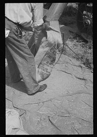 [Untitled photo, possibly related to: Sacking oats, Brookeville, Maryland]. Sourced from the Library of Congress.