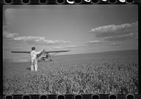 "Duster" plane spraying insecticide over a field of beans. The mechanic in the foreground indicates the outside limit of the last "swath" which has settled by the time the plane returns. Note how low the plane flies. Beanfields like this, hundreds of acres in extent, are plowed, planted cultivated and even harvested by tractors. Seabrook Farms, Bridgeton, and Vineland, New Jersey. Sourced from the Library of Congress.