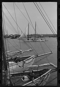 [Untitled photo, possibly related to: Aboard a trap fishing boat. The deck of the boat on the way home. Provincetown, Massachusetts]. Sourced from the Library of Congress.